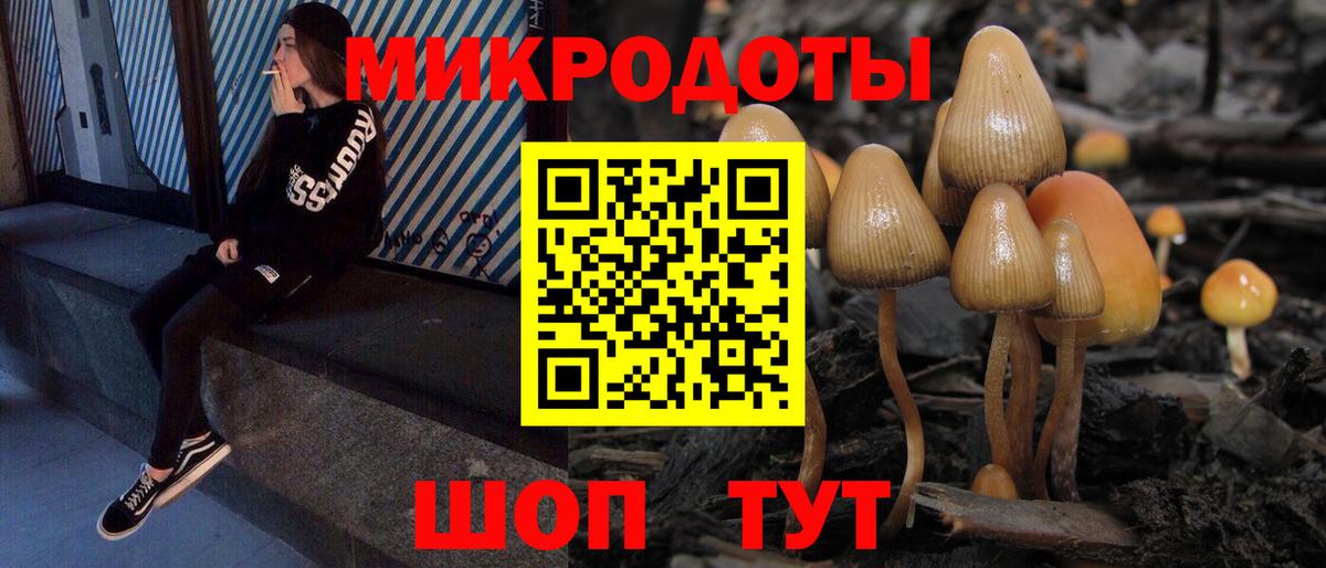 Псилоцибиновые грибы GOLDEN TEACHER Лабытнанги