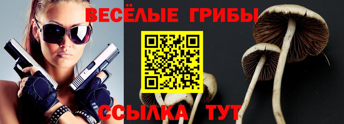 Лабытнанги  Галлюциногенные грибы Psilocybine cubensis  Вход с VPN 